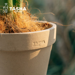 Tasha's garden white clay flower pot international small and large stone pot succulent orchid pot for home balcony vegetable cultivation