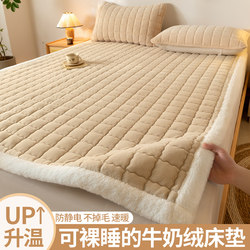 Class a Milk Velvet Mattress Soft Pad for Home Use, Bedding for Dormitory Students, Single Bed, Autumn and Winter Fleece Mattress Pad