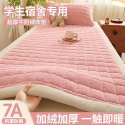 Winter Thickened Warm Milk Velvet Mattress Dormitory Student Single Soft Pad 90X190 Flannel Coral Velvet Mattress Pad