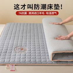 Moisture-Proof Mattress for Home Use, Anti-Mold Mattress Pad, Special Mattress for Rental Apartments, Wool Mattress, Soft Pad, Cotton Pad, Quilt Base