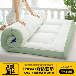 Mattress Bedding Base Home Soft Pad Bedroom Sleeping Mat 180X200 Tatami Dormitory Student Single 1.2