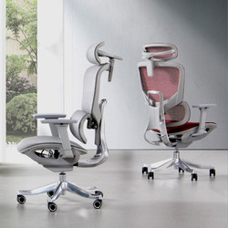 5D Ergonomic Chair, Comfortable for Long Sitting, Waist-Protecting Office Chair, Home Computer Chair, Fully Mesh Hollow Gaming Chair