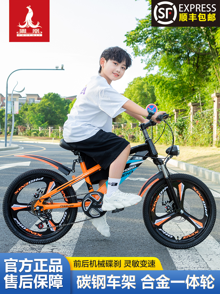 【Phoenix】マウンテンバイク MTB【送料込】 Phoenix】マウンテンバイク MTB【送料込】 Phoenix】マウンテン