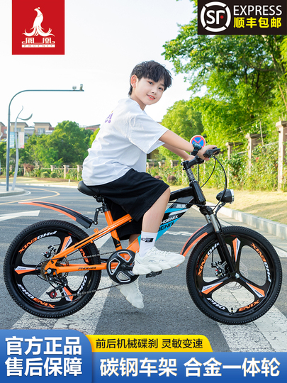 Phoenix 20インチ子供用自転車 - 6-15歳 - ディスクブレーキマウンテン