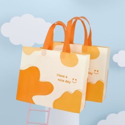 Non-Woven Tote Bag, Peritoneal Clothing Store Bag, Eco-Friendly Shopping Packaging Bag, Hand-Held Bag, Shoe Box Bag with Logo Printing