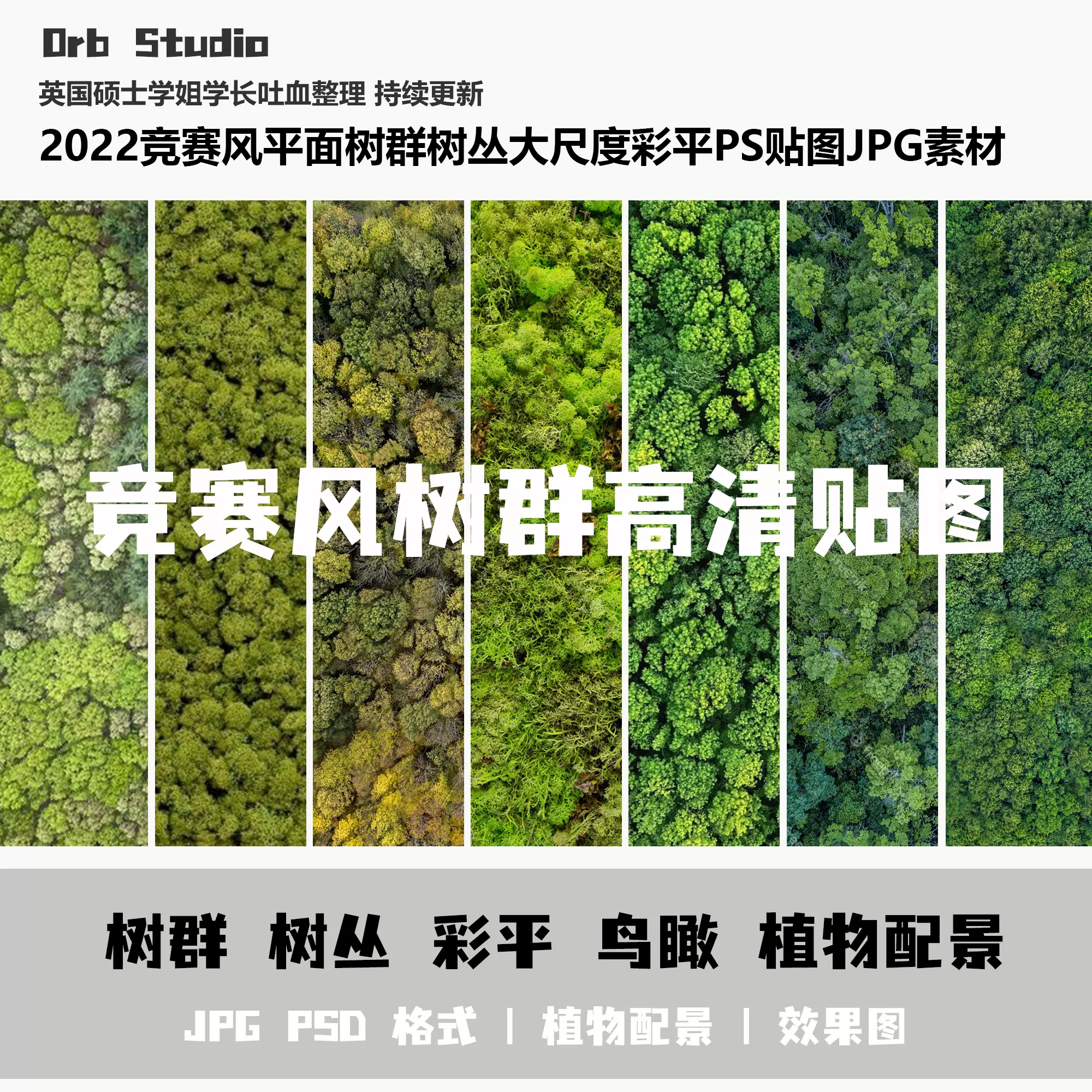 22競賽風平面鳥瞰樹羣樹叢植物大尺度效果圖彩平psd 22競賽風平面鳥瞰樹羣樹叢植物大尺度效果圖彩平psd
