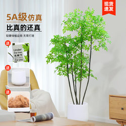 Artificial Bamboo Plant, Simulated Green Plant, Floor-Standing Potted Plant, Artificial Plant Ornament, Living Room Sofa Side Home Decoration Bonsai