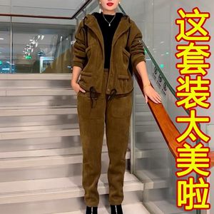 
Spring and autumn loose large size thickened velvet chenille suit female mother's outfit slim casual harem pants two-piece set