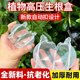 Plant high-pressure propagation box, garden flower and fruit tree gardening rose branch rooter, high-pressure grafting box, cutting ball