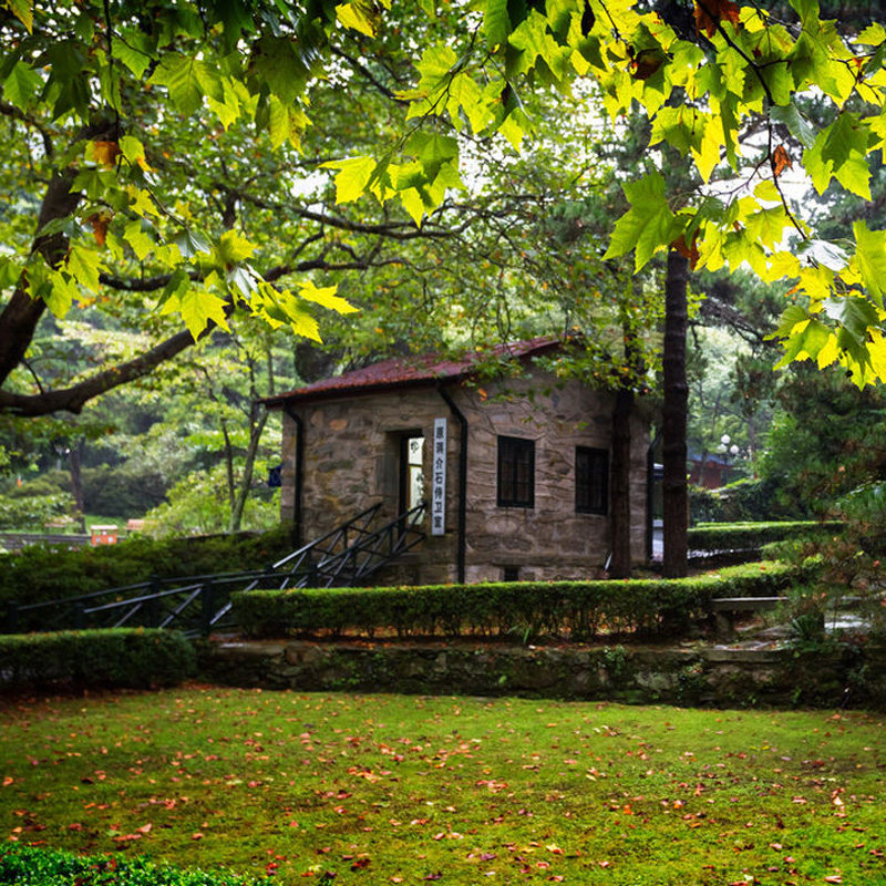 庐山一日游 2-8人小团 两线精华+三叠泉 不走回头路 九江旅游赏枫