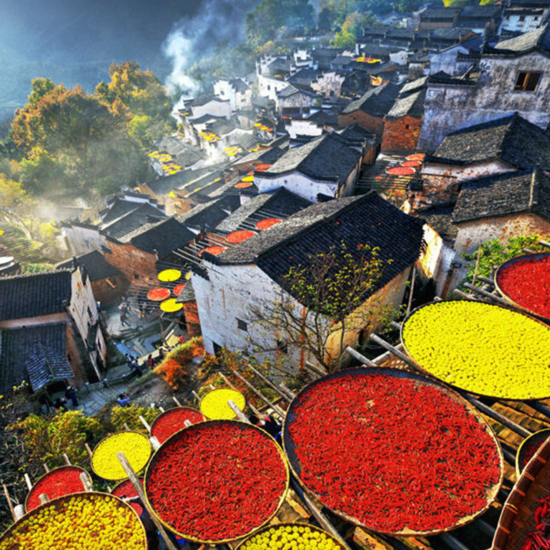 篁岭梯田晒秋半日篁岭李坑月亮湾一日 望仙谷景区 可选2-6人小团