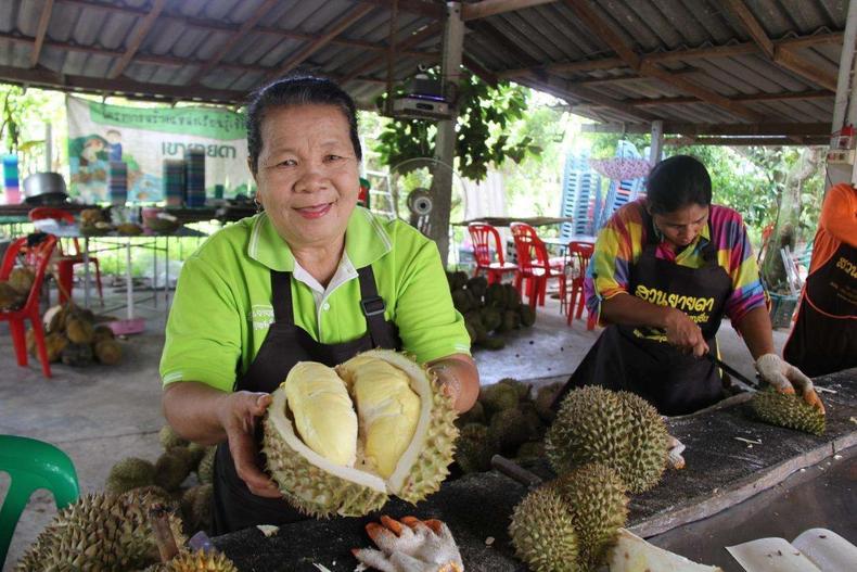 众享美味榴莲干，与味蕾来一场邂逅(图11)