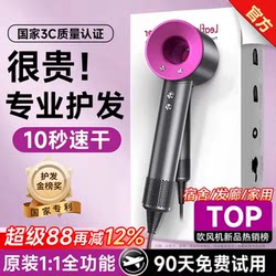 Hair Dryer for Home Use, Negative Ion Hair Care, Silent, Quick-Drying, Barber Shop Special, High-Power, Powerful, High-Speed Hair Dryer