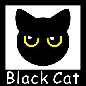 
[Black Cat Board Game] Board game storage, card rack, card, token, dice customization