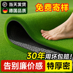 German Artificial Turf, Synthetic Grass Carpet, Artificial Plastic Green Carpet for Outdoor Courtyard and Balcony Insulation Decoration