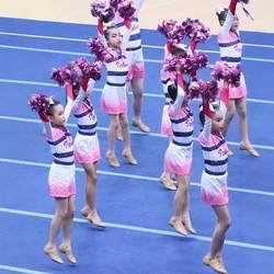 Children's Cheerleading Performance Uniforms, Long-Sleeved Girls' Cheerleading Competition Uniforms, Primary and Secondary School Students' Sports Meeting Team Gymnastics Uniforms