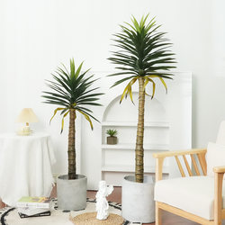 Artificial tropical plant gladiolus bonsai large simulated plant sisal potted indoor floor-standing fake green plant agave
