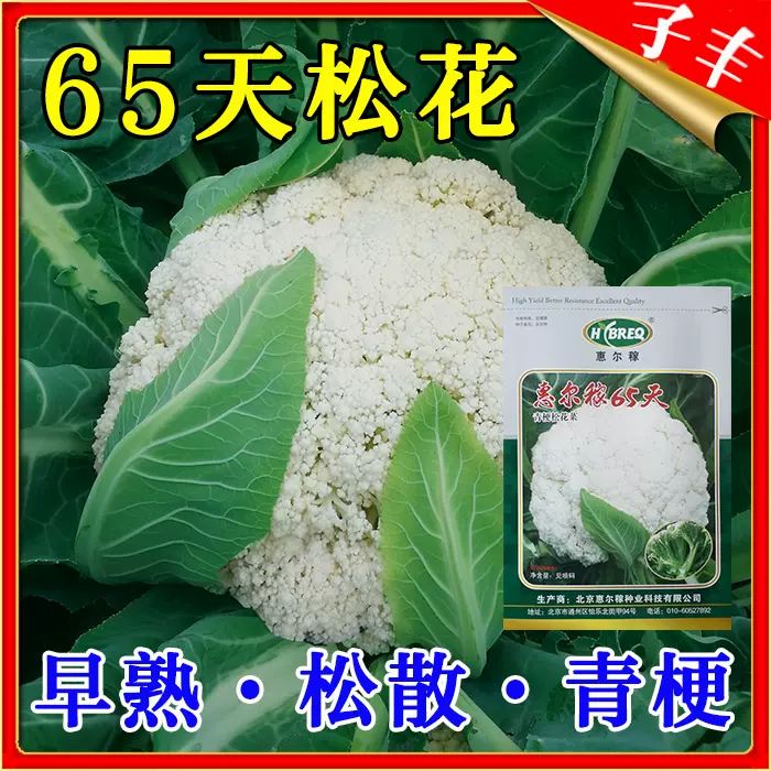 惠尔稼65天菜花种子春秋季早熟花菜花椰菜有机青梗松花 惠尔稼65天菜花种子春秋季早熟花菜花椰菜有机青梗松花