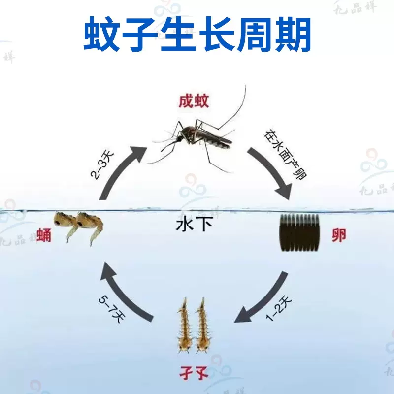 苏云金杆菌水体灭蚊液 虫卵双杀除蚊子幼虫 水池鱼池池塘下水道