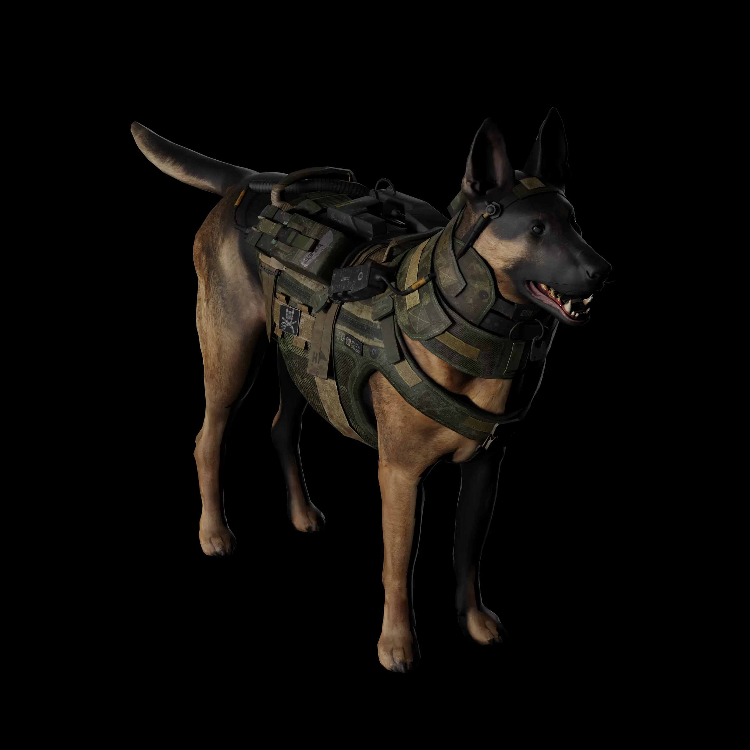 狼狗軍犬3d模型設計素材obj貼圖動物遊戲模型設計rhino犀牛