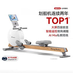 Merrick Q3 Rowing Machine Home Intelligent Magnetically Controlled Silent Shoulder Shaping Fitness Equipment Self-Generating Mr-R21