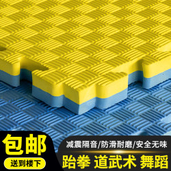 Taekwondo Floor Mat, Dance Martial Arts Training Mat, Fighting and Grappling Mat, Boxing Mat, Soundproof and Shockproof Fitness Floor Mat