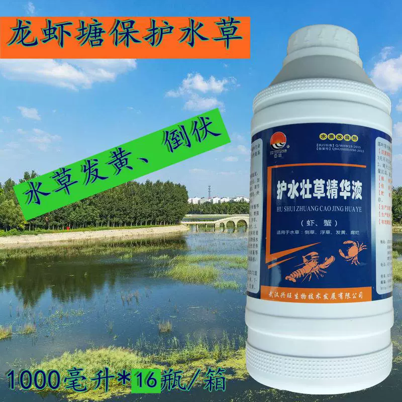龙虾塘水草肥液肥不伤鱼虾蟹养殖伊乐藻挂脏
