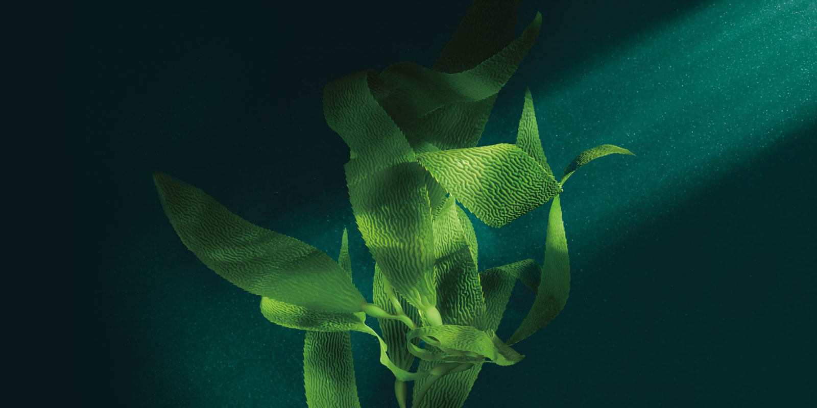 干敏皮护肤很困难成分党来拯救你