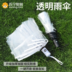 Transparent Umbrella, Foldable, Fully Automatic, Popular among Female Influencers, Double Reinforced, Enlarged for Photography, Portable Umbrella 2191
