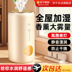 Humidifier Household Silent Bedroom Small Large Spray Capacity Air Purification Desktop Spray Car Aromatherapy 2286