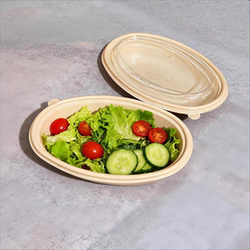 Disposable Corn Starch Meal Box, Oval Pasta Packaging Box, Microwaveable, Thickened, New Commercial Takeout Packaging Box