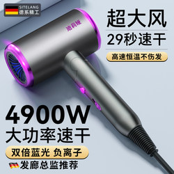 Hair Dryer for Home Use, Negative Ion Hair Care, Silent, Strong Wind, Quick Drying, Professional Hair Dryer for Hair Salons and Barbershops, High-Power Hair Dryer
