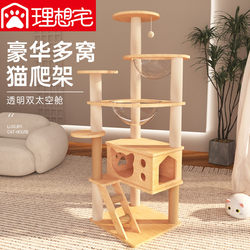 Space Capsule Cat Climbing Frame, Cat House, Cat Tree with Integrated Trunk, Jumping Platform, Household Small Cat Shelf, Toy, Small Apartment Building