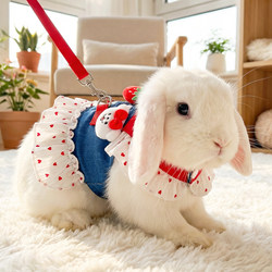 Rabbit Clothes with Leash to Prevent Escape, Dwarf Lop-Eared Rabbit Pet Outdoor Special Clothing, Cute and Warm