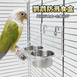 Parrot Splash-Proof Bird Feeder with Built-In Food Box, Anti-Spill Water Dispenser, Acrylic Transparent Double Bowl, Stainless Steel Food Trough for Cockatiels and Lovebirds