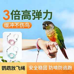 
Little Sun Monk Parrot puts flying rope outdoors walking birds to pull elastic rope ultra light without hurting feet training rope Xuanfeng
