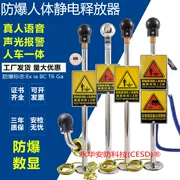 Thiết bị phóng tĩnh điện cơ thể con người chống cháy nổ chính hãng BM-PSA thiết bị cảnh báo bằng giọng nói và âm thanh khử tĩnh điện an toàn về bản chất