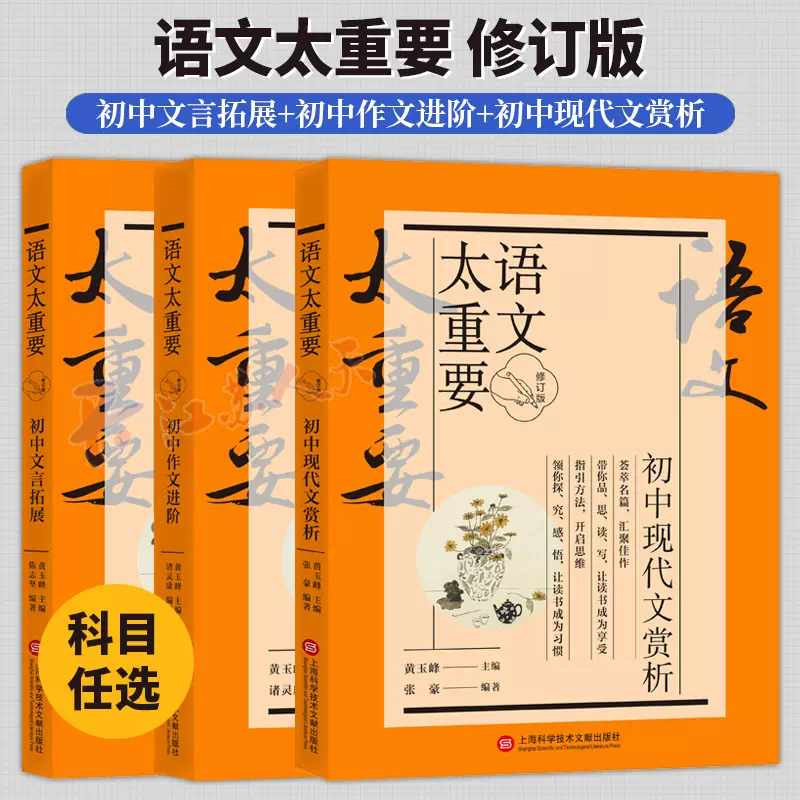 美国语文常青藤版共5册 提升孩子英文综合素养美国中小学教育读本 中文书 美国语文常青藤版共5册 提升孩子英文综合素养美国中小学教育读本