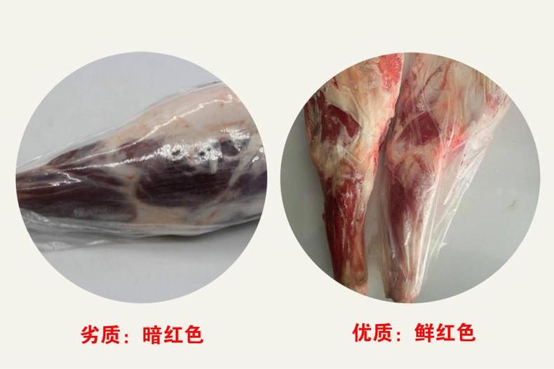 热门滋补美食,驱寒补气吃羊肉(图13) 热门滋补美食,驱寒补气吃羊肉(图13)