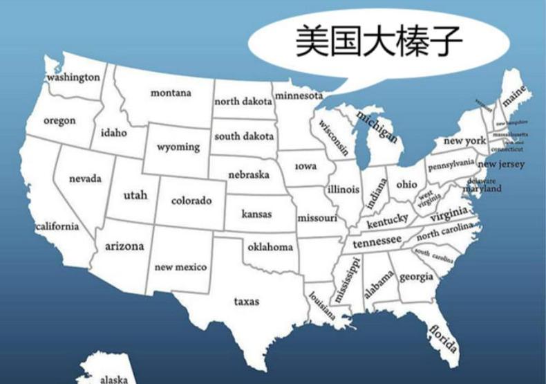 挑选营养榛子，果肉颗颗饱满(图4)