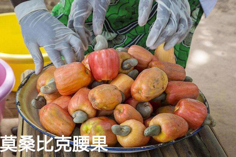 挑选腰果小窍门，美食养生式消耗脂肪(图4)