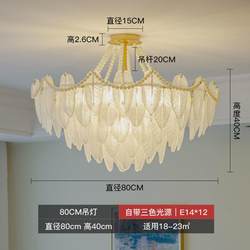 Light luxury living room chandelier creative simple modern designer feather glass Italian French restaurant bedroom chandelier