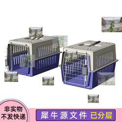Pet Airline Crate, Cat and Dog Travel Carrier, Portable Transport Box, Rhino Model