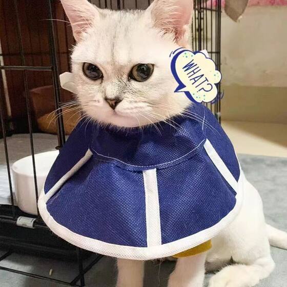 Non -woven Elizabeth Circle Medical Comfort Anti -licking Pets Soft Circle Circle Circle Cats Cat Holdings
