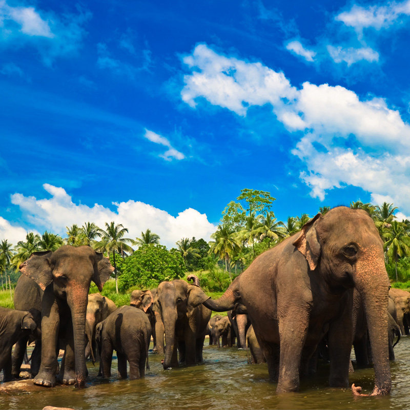 云南旅游 上海飞西双版纳5天4晚自由行往返含税机票酒店飞猪旅行