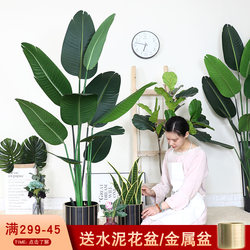 Nordic Traveler's Banana Artificial Green Plant Potted Flower Decoration Indoor Fake Areca Palm Tree Floor-Standing Large Fake Plant Ornament