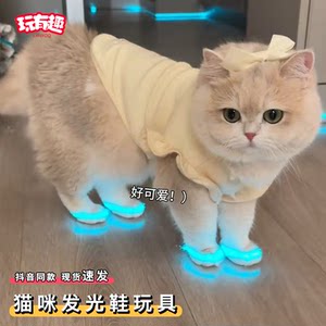 
Cat luminous shoes toys, trick pets, cats and dogs, indoor luminous reflective strips, shoes, night photography accessories