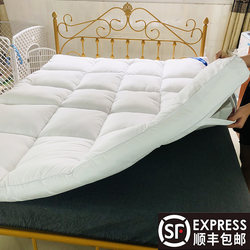 Five-Star Hotel Same Style 10cm Mattress Soft Cushion Home Mattress Thickeneded Winter Mattress Super Soft Quilt