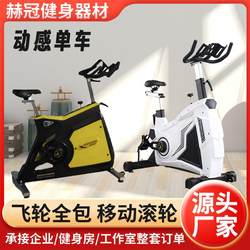 Spin Bike Gym Commercial Fitness Equipment Home Use Ultra-Quiet Aerobic Training Bicycle Spin Bike