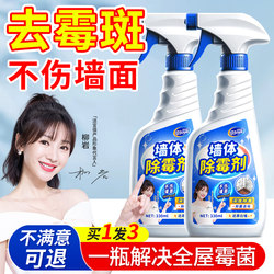 Mildew Remover Spray for Walls, Mold Stain Remover, Household White Wall Anti-Mold Cleaning Gel Magic Tool